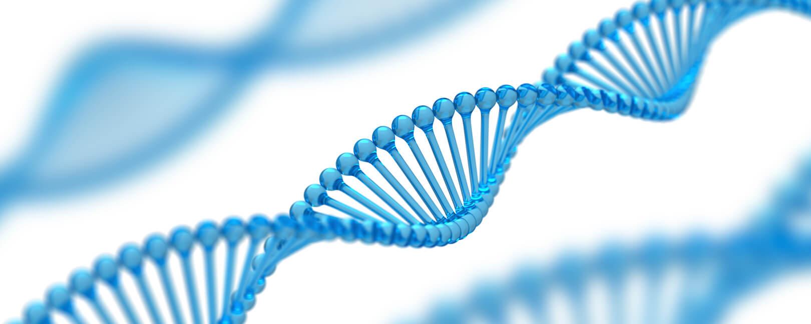 Genomics Essentials 2026