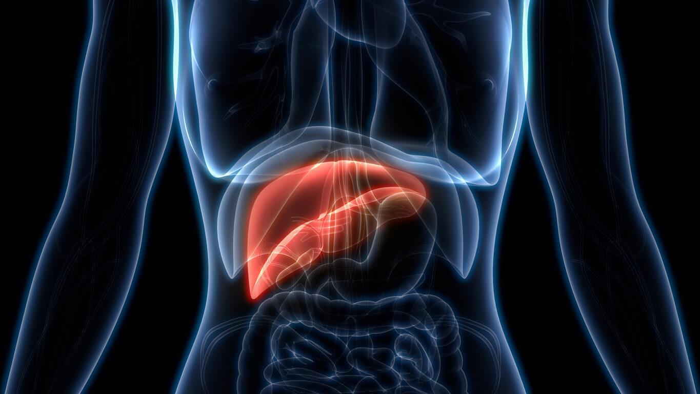 Metabolic-Dysfunction Associated Fatty Liver Disease